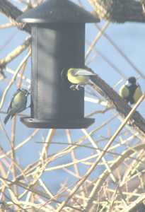 Skansen Urtehage p� Byre