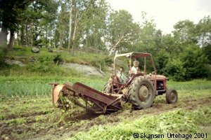 �kologisk jordbruk er ofte mer arbeidsinntensivt.
